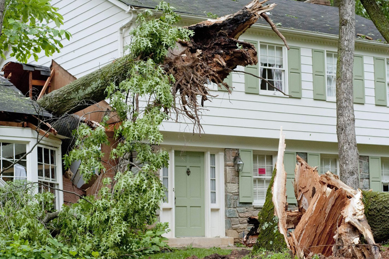 storm damage